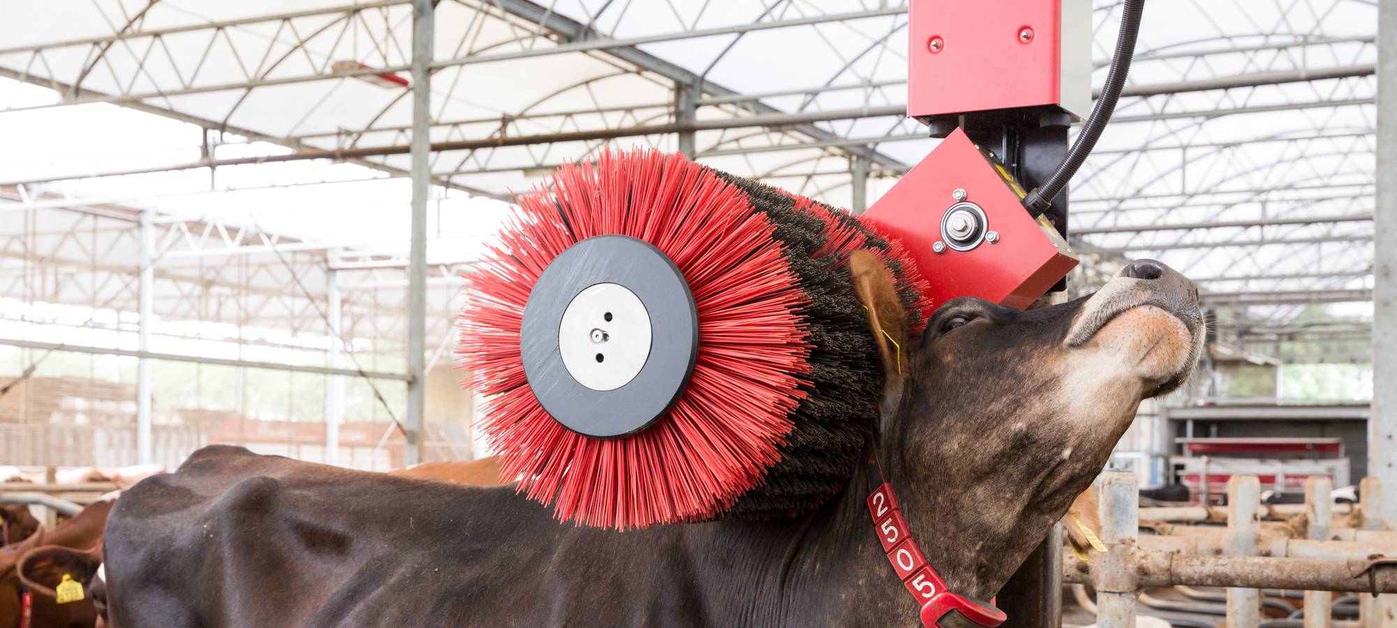 Lely Luna 2