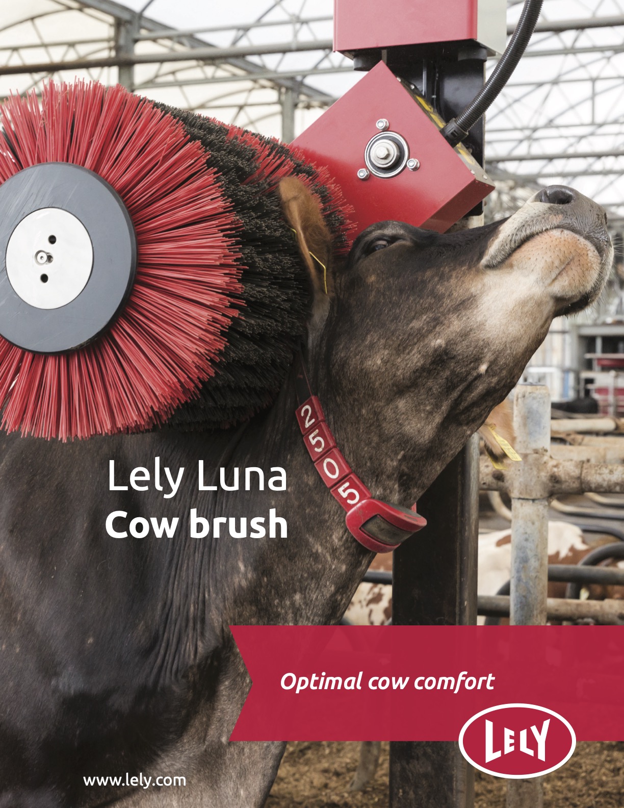 Lely_Luna_Lit_18