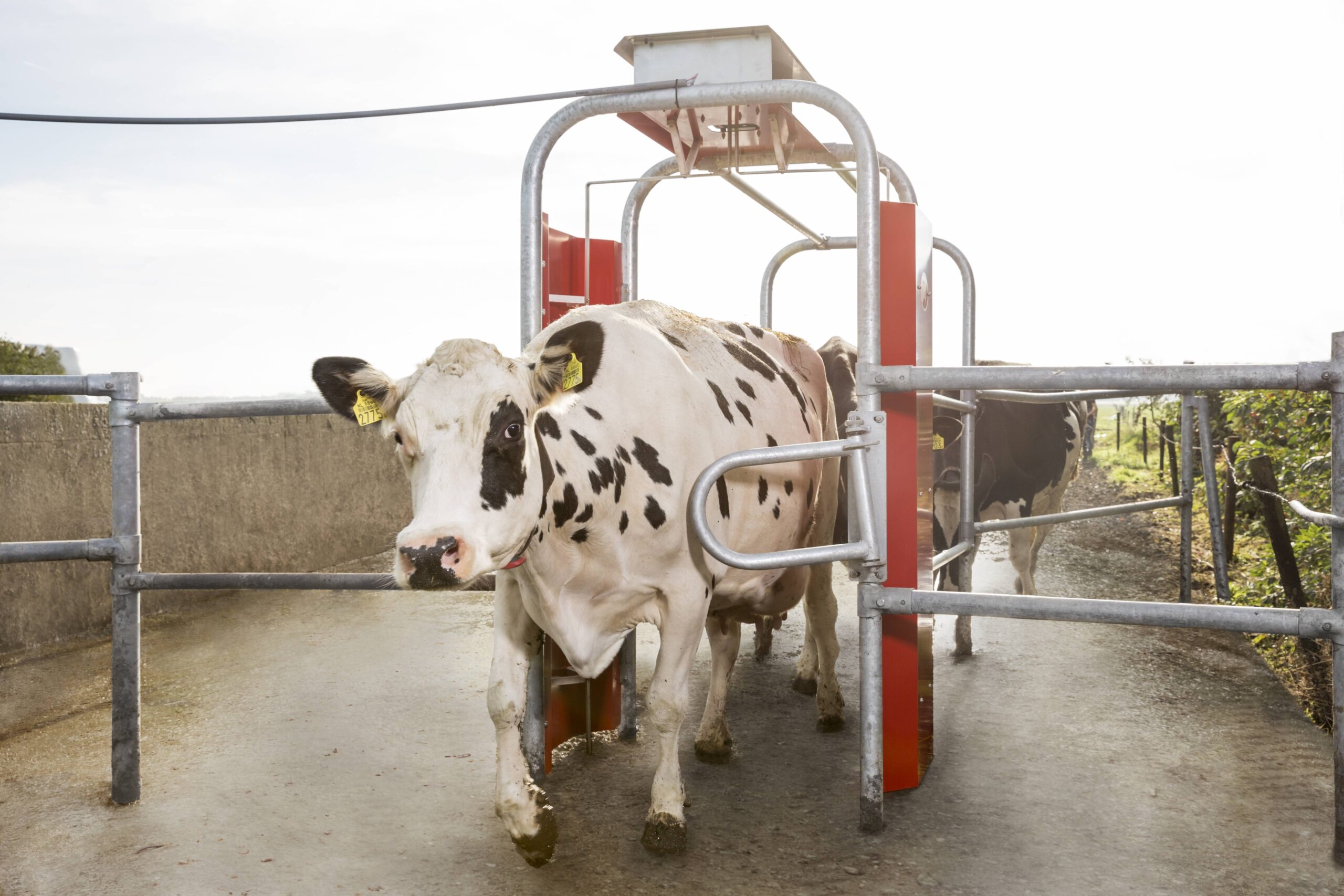 lely_grazeway_171013_19_0248_3.jpg__5760x3840_q70_crop_subsampling-2_upscale